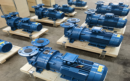 2BV Series Vacuum Pump for Sale